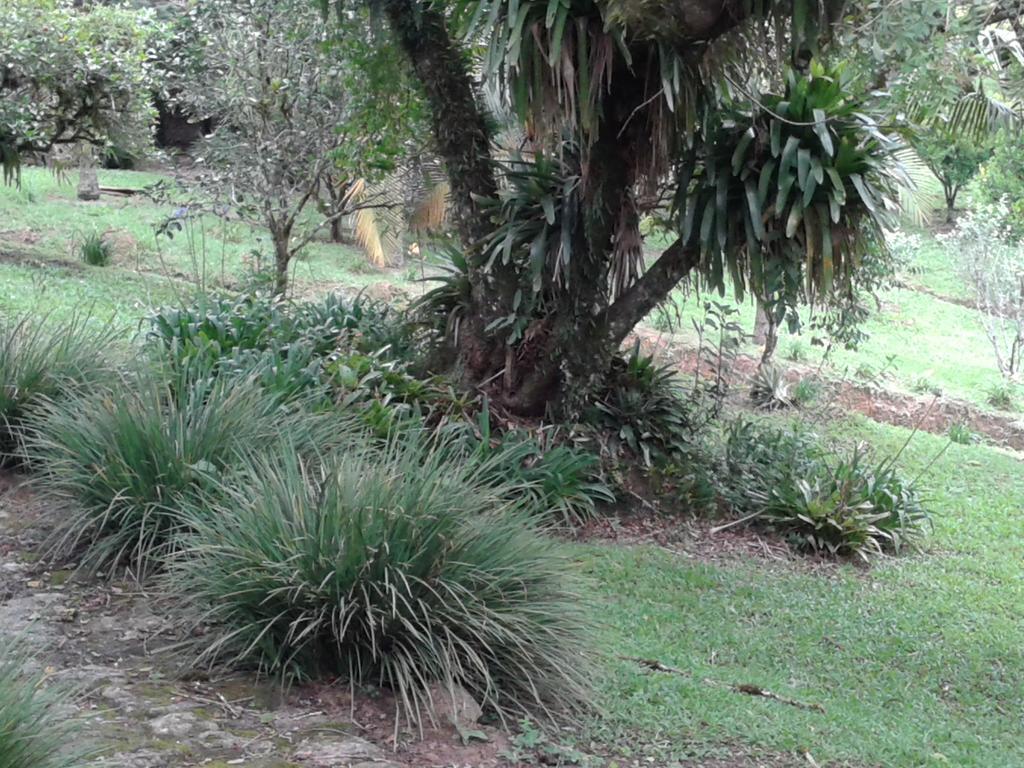Pousada Recanto Aguas Vivas Turvo dos Gois Exterior photo