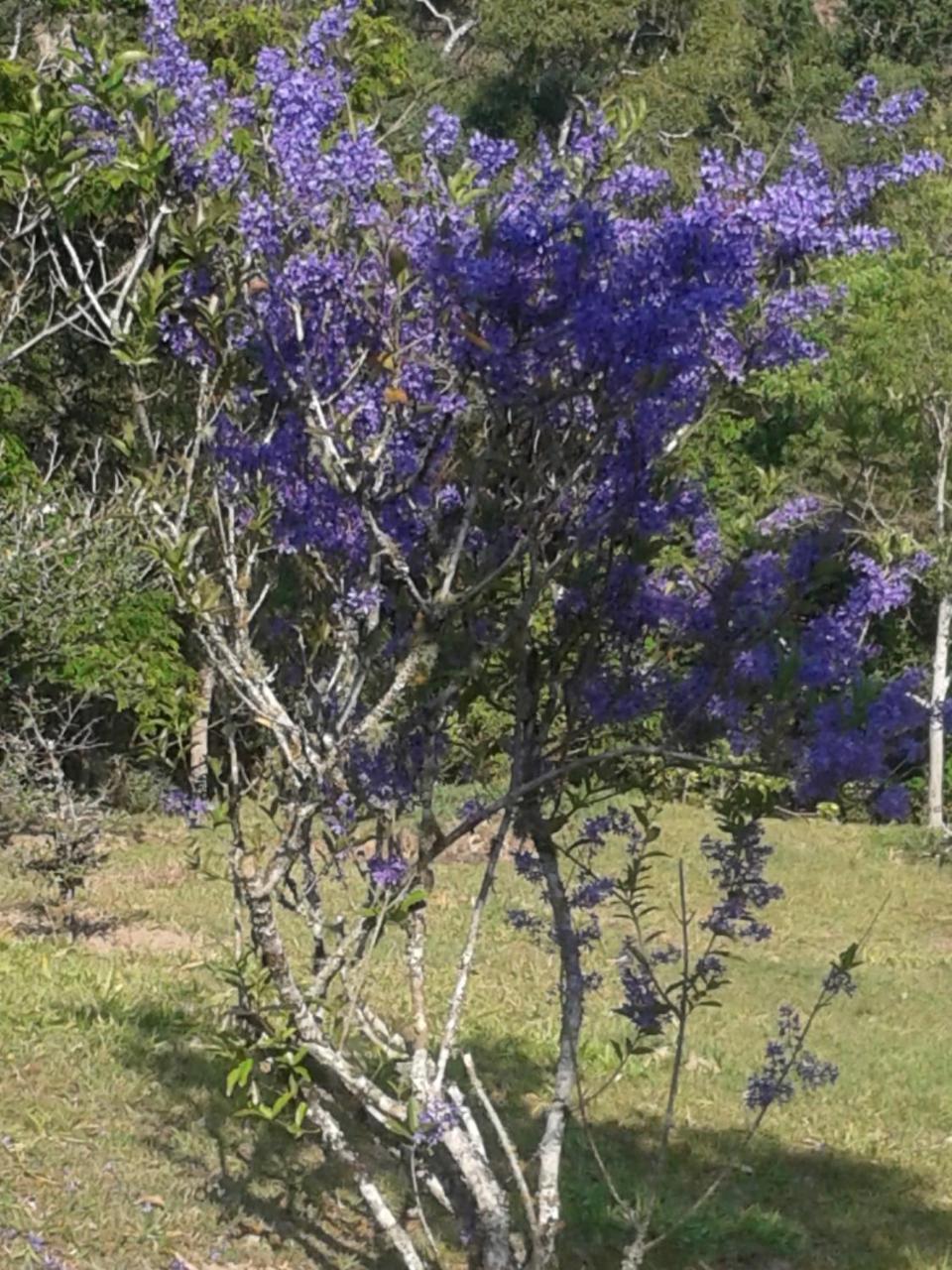 Pousada Recanto Aguas Vivas Turvo dos Gois Exterior photo